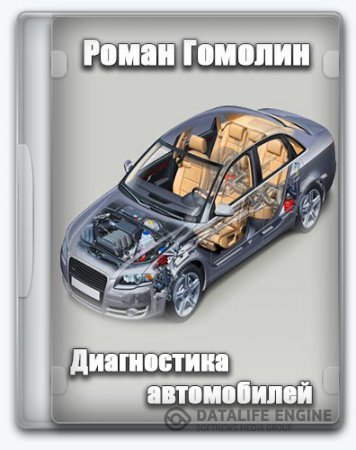 Роман Гомолин | Диагностика автомобилей (2014) CamRip, PCRec